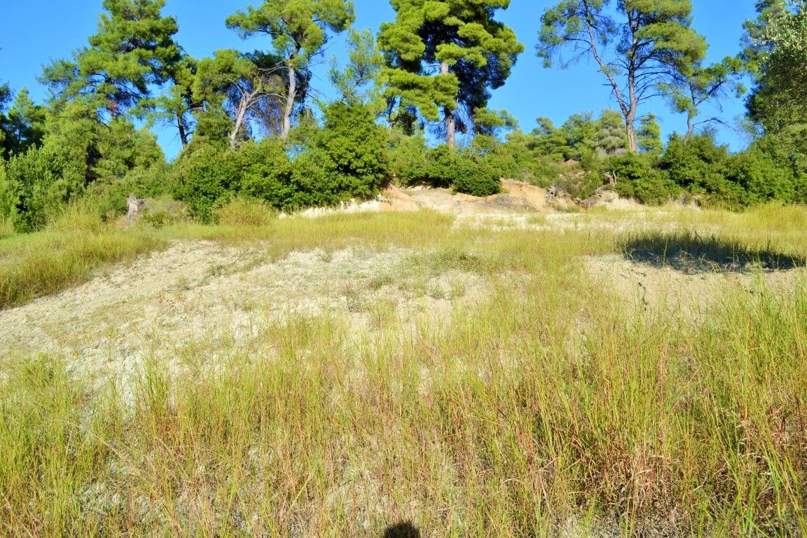 Terreno en Kassandra, Grecia, 5 230 m² - imagen 1