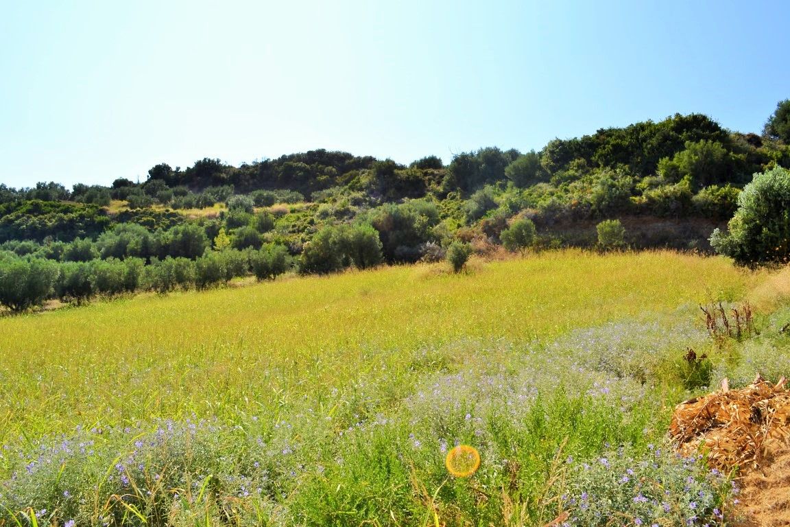 Grundstück in Kassandra, Griechenland, 4 000 m² - Foto 1