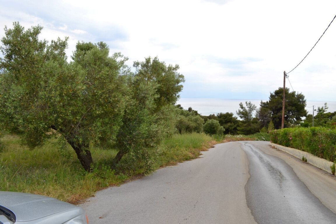 Land in Chalkidiki, Greece, 6 012 m² - picture 1
