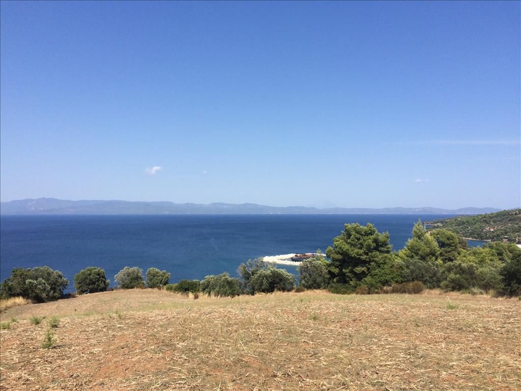 Terrain en Chalcidique, Grèce, 10 170 m² - image 1