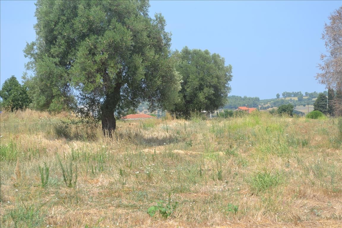 Land in Kassandra, Greece, 15 500 m² - picture 1