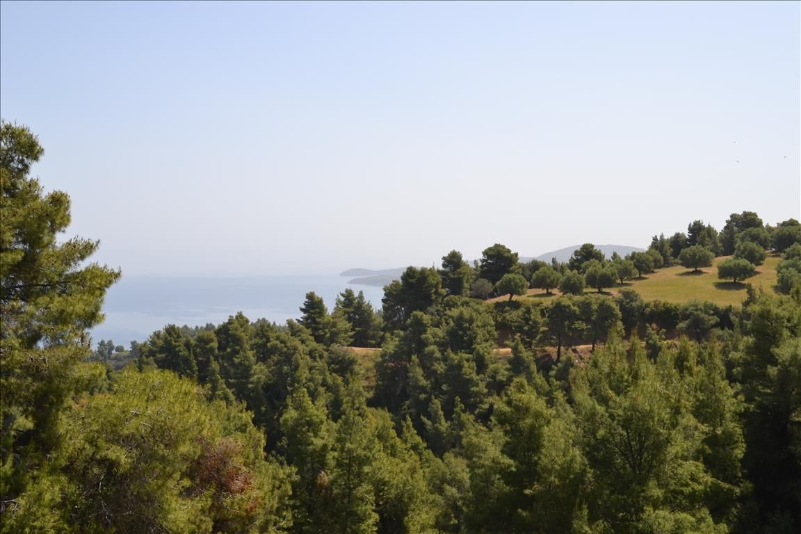 Grundstück in Kassandra, Griechenland, 4 650 m² - Foto 1