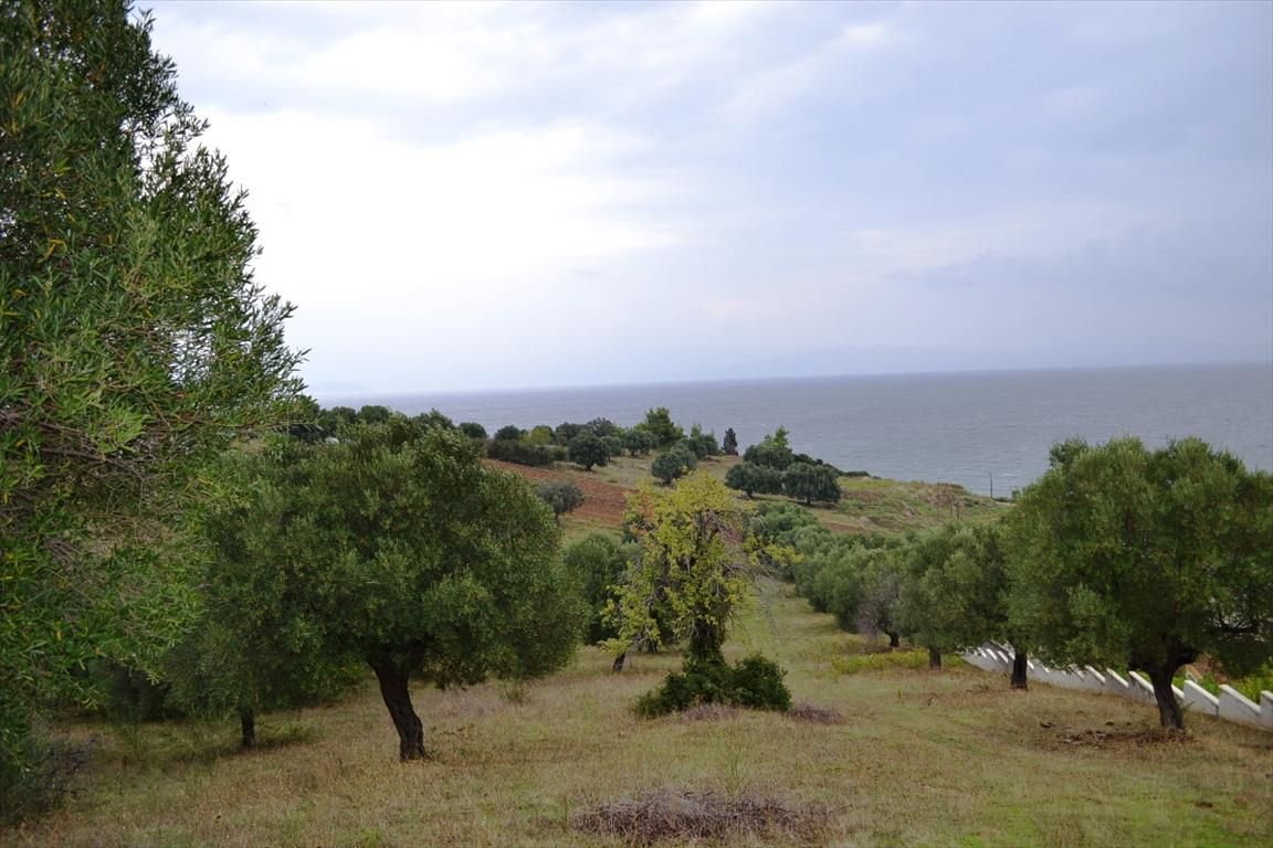 Land in Chalkidiki, Greece, 8 404 m² - picture 1