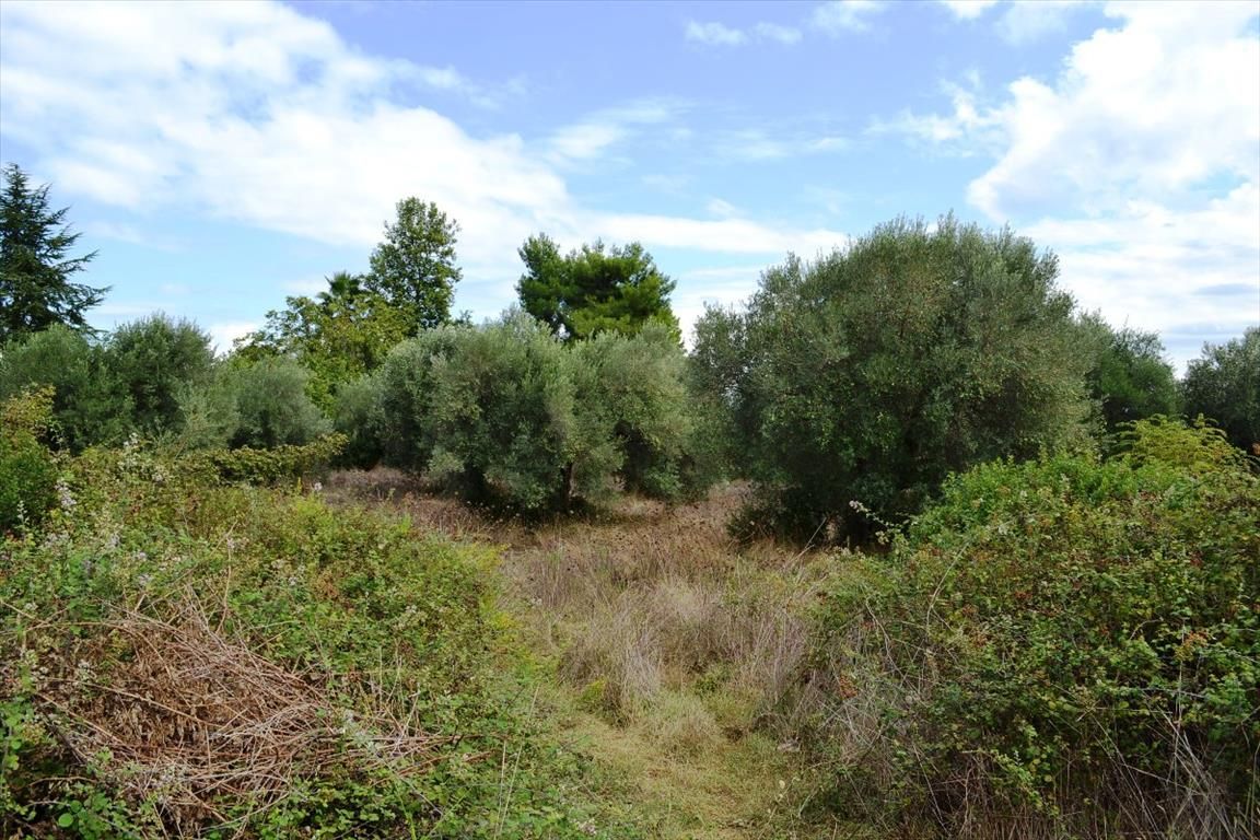 Terreno en Calcídica, Grecia, 8 100 m² - imagen 1