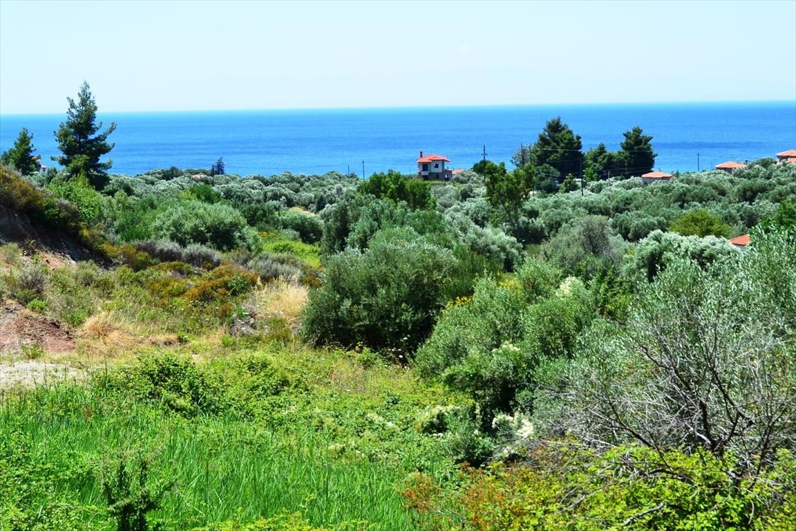 Terrain à Kassandra, Grèce, 8 000 m² - image 1