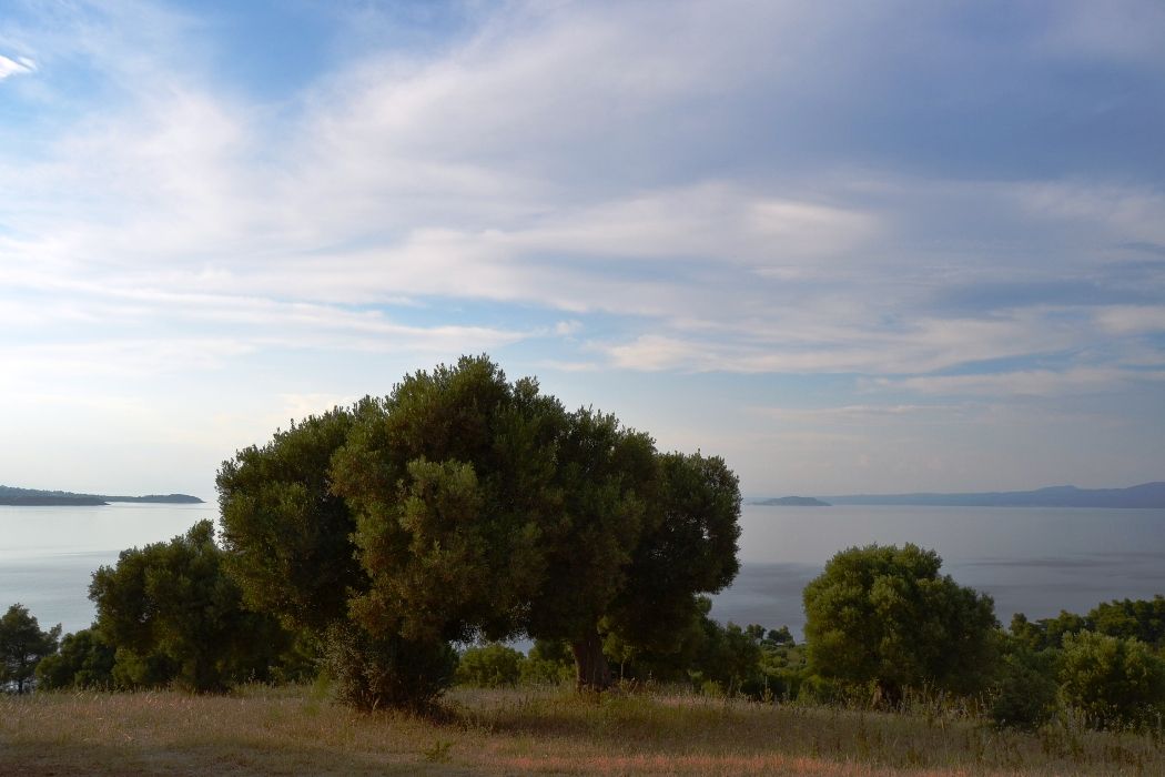 Terreno en Calcídica, Grecia, 19 000 m² - imagen 1
