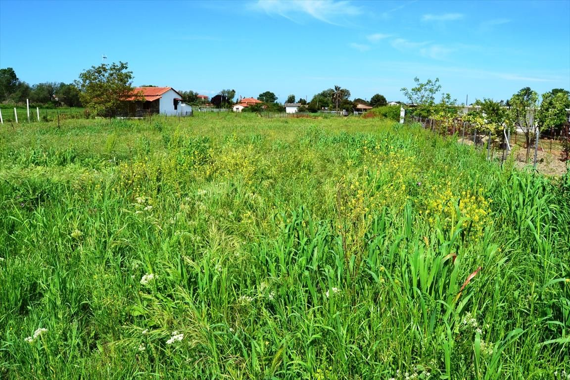 Land in Kassandra, Greece, 1 200 m² - picture 1