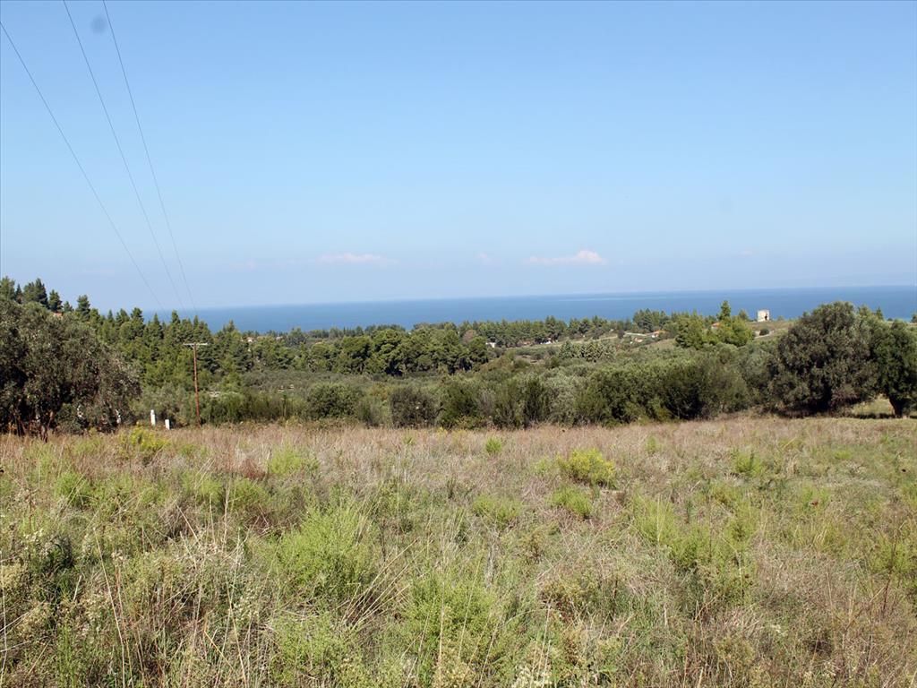 Terrain en Chalcidique, Grèce, 22 500 m² - image 1