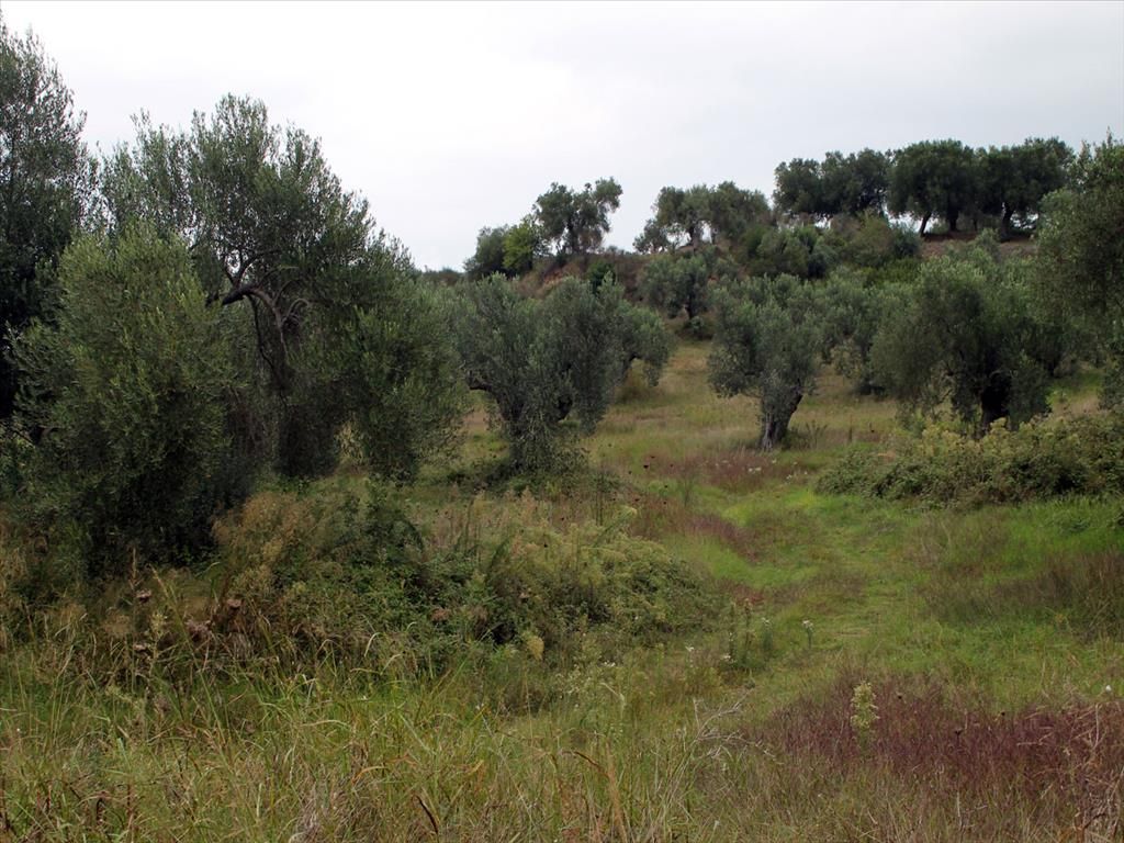 Terreno en Kassandra, Grecia, 18 237 m² - imagen 1