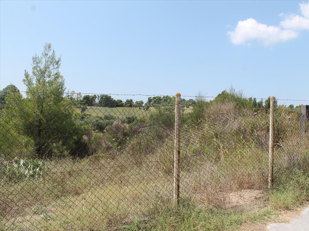 Terreno en Calcídica, Grecia, 4 025 m² - imagen 1