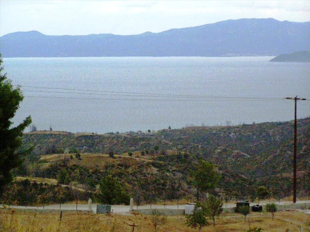 Land in Kassandra, Greece, 15 000 m² - picture 1