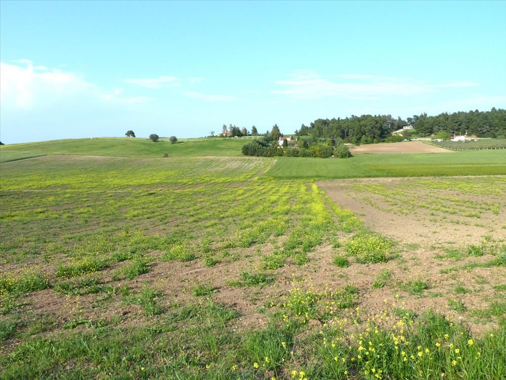 Terreno en Sani, Grecia, 4 700 m² - imagen 1