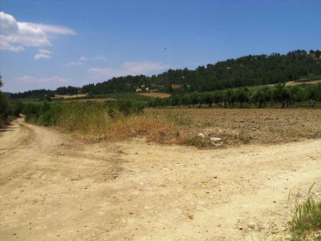 Terreno en Calcídica, Grecia, 4 385 m² - imagen 1