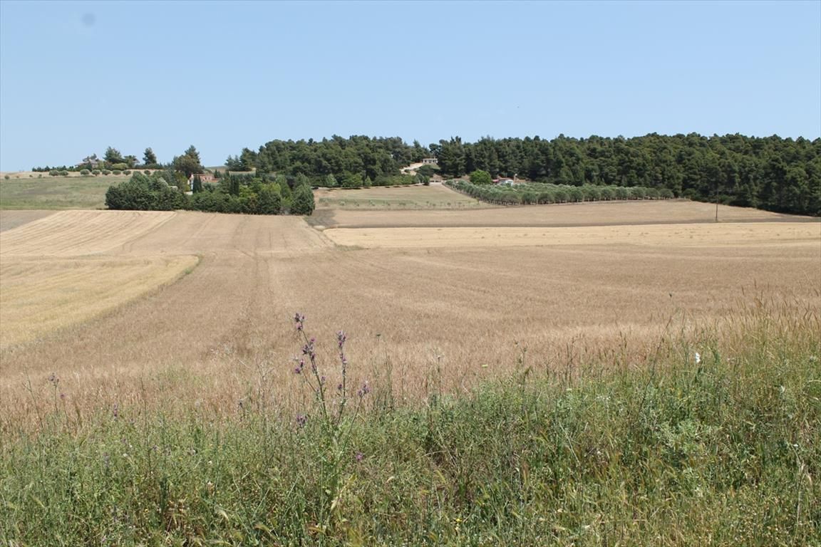 Terreno en Sani, Grecia, 4 050 m² - imagen 1