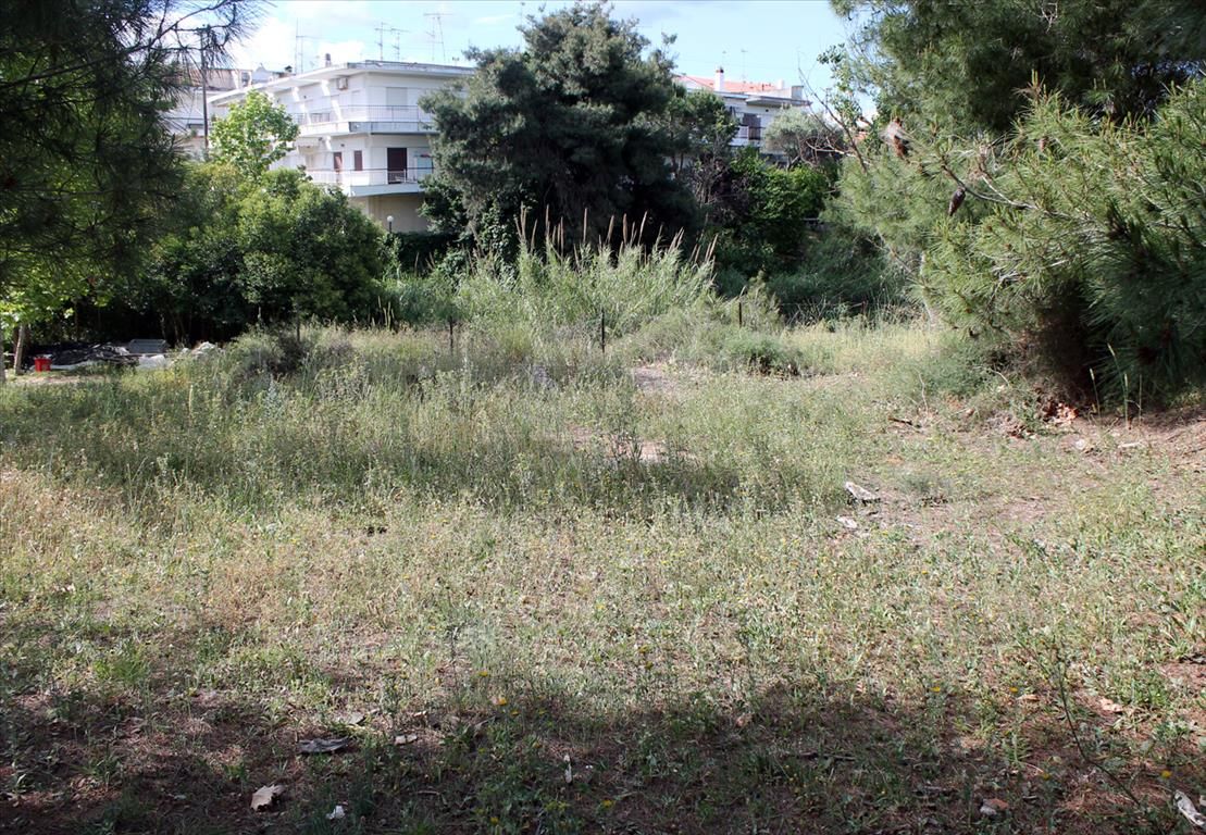 Land in Kassandra, Greece, 1 400 m² - picture 1