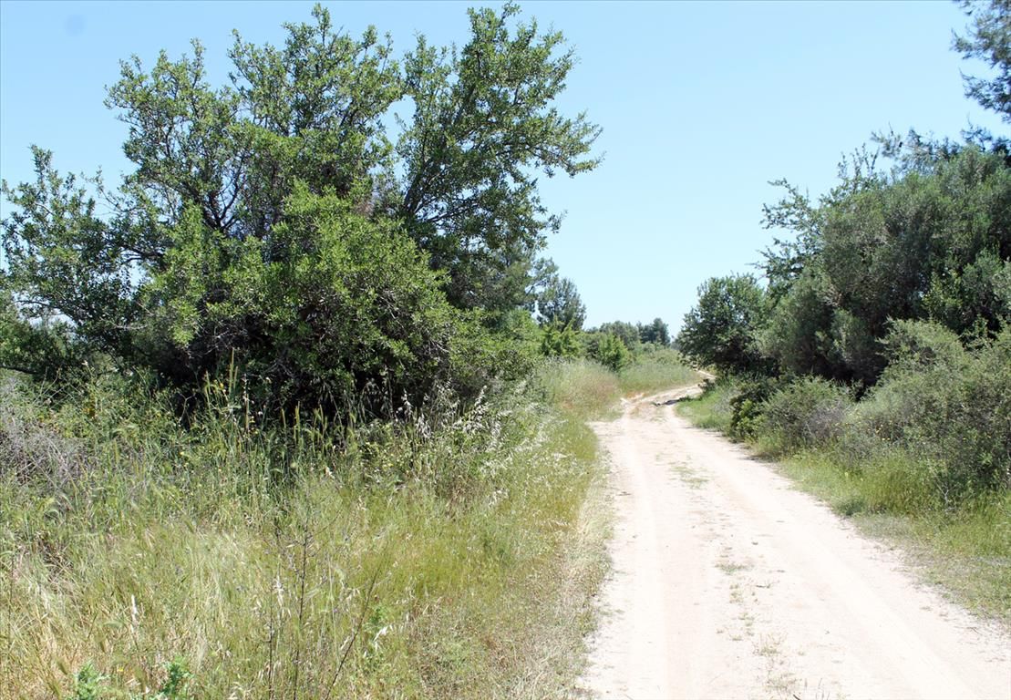 Terreno en Sitonia, Grecia, 1 898 m² - imagen 1