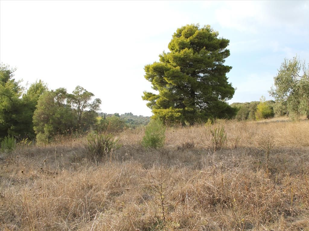 Terreno en Calcídica, Grecia, 4 000 m² - imagen 1