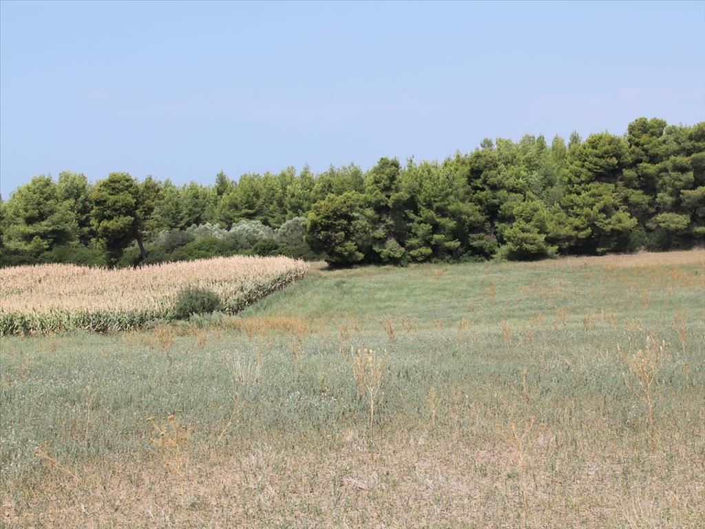 Terreno en Calcídica, Grecia, 36 000 m² - imagen 1