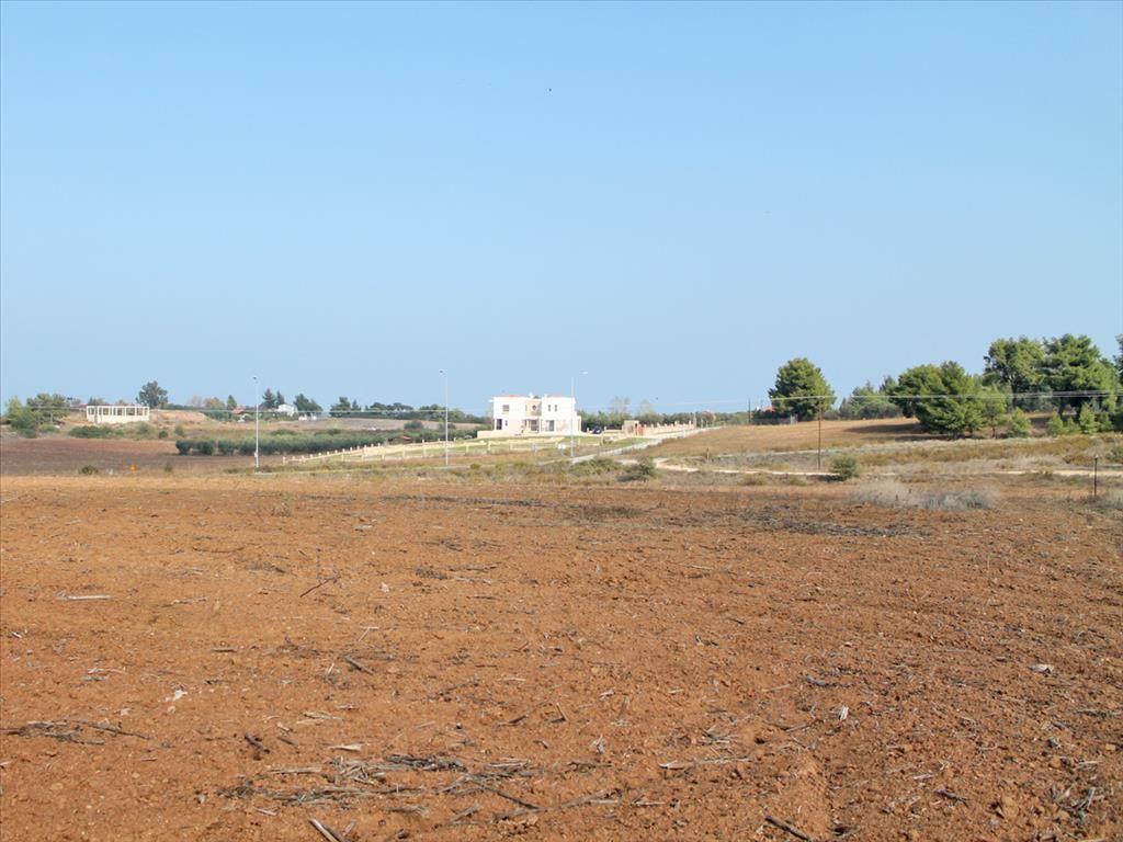 Terrain en Chalcidique, Grèce, 5 875 m² - image 1