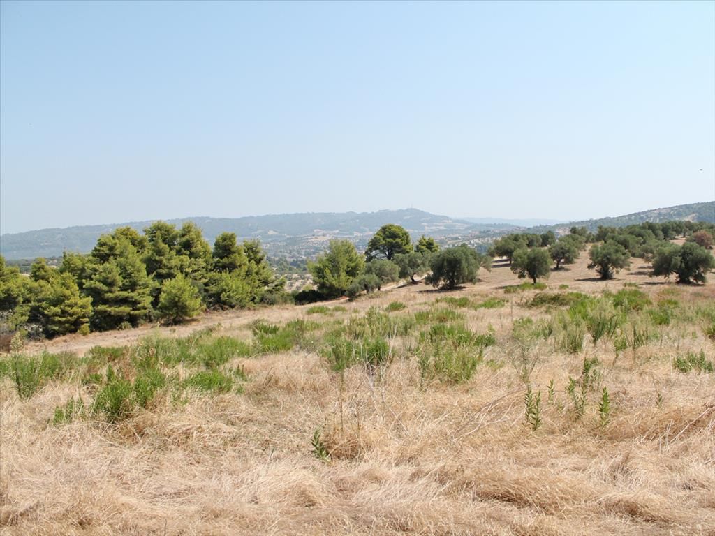 Grundstück in Kassandra, Griechenland, 12 000 m² - Foto 1