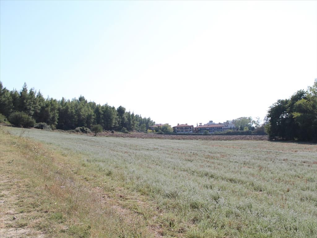 Land in Kassandra, Greece, 13 500 m² - picture 1