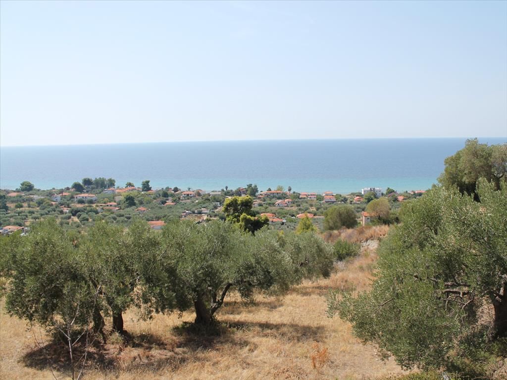 Land in Kassandra, Greece, 4 000 m² - picture 1