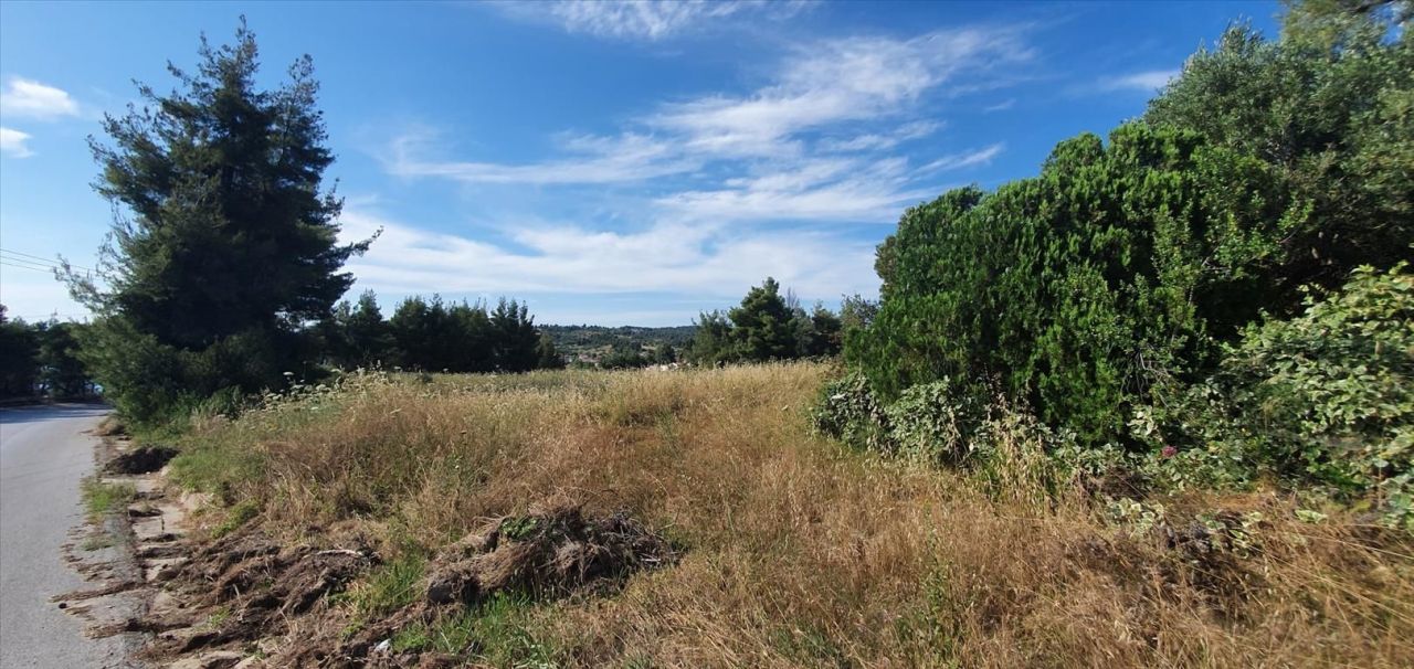 Land in Chalkidiki, Greece, 8 962 m² - picture 1