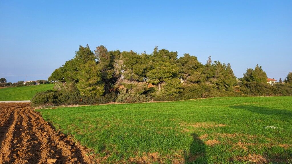 Land in Kassandra, Greece, 4 344 m² - picture 2