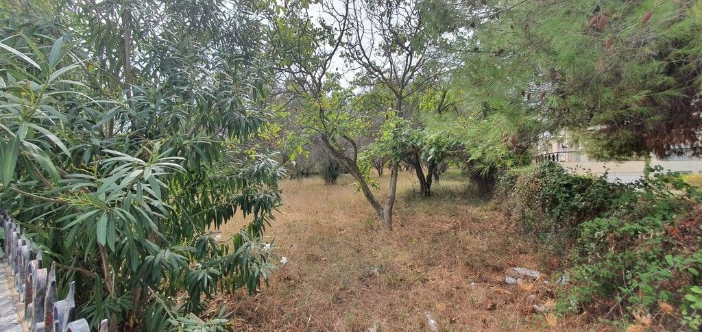 Terreno a Kassandra, Grecia, 2 000 m2 - foto 2