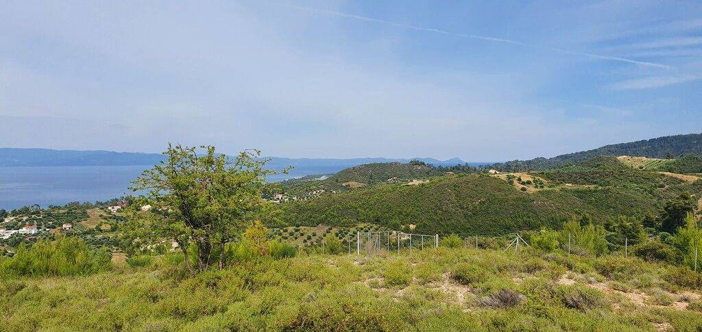 Grundstück in Kassandra, Griechenland, 9 603 m² - Foto 2