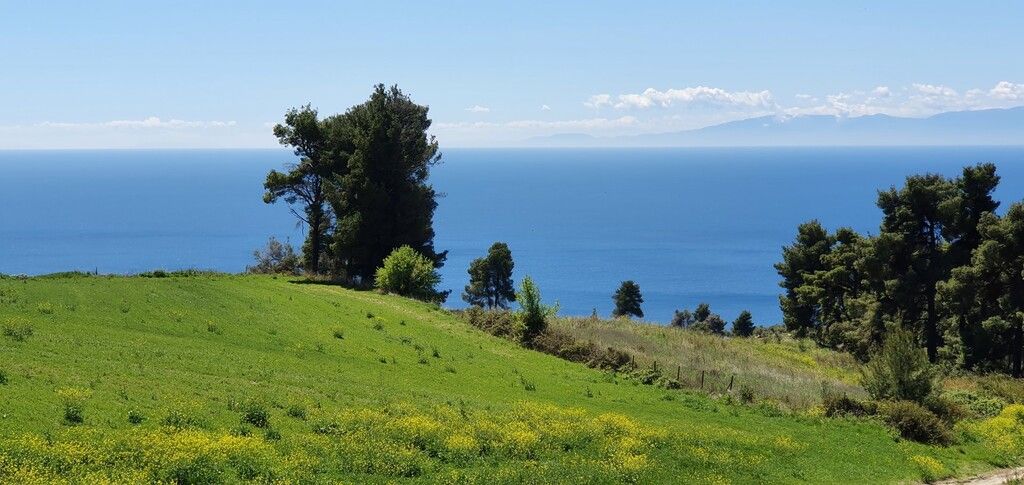 Land in Kassandra, Greece, 11 000 m² - picture 2