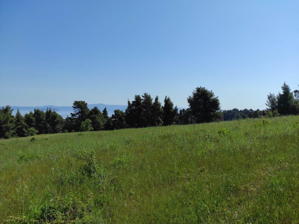 Land in Kassandra, Greece, 4 218 m² - picture 2