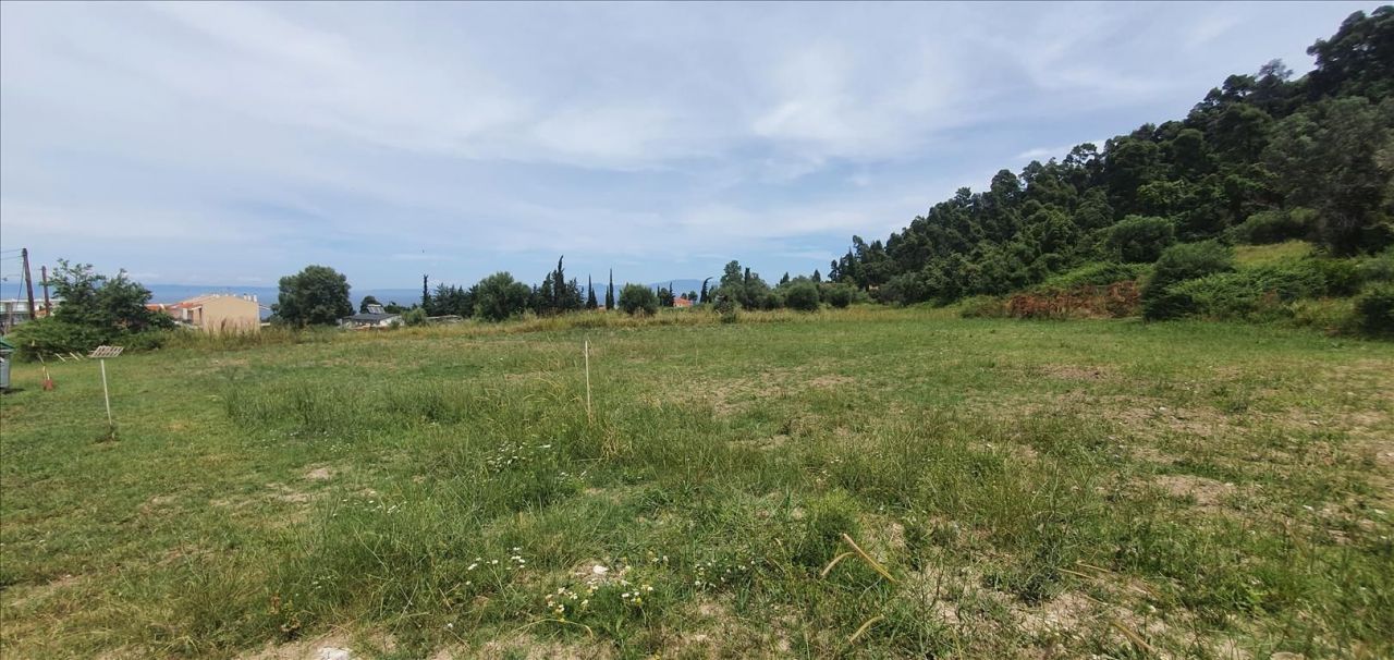 Terrain à Kassandra, Grèce, 3 928 m² - image 2