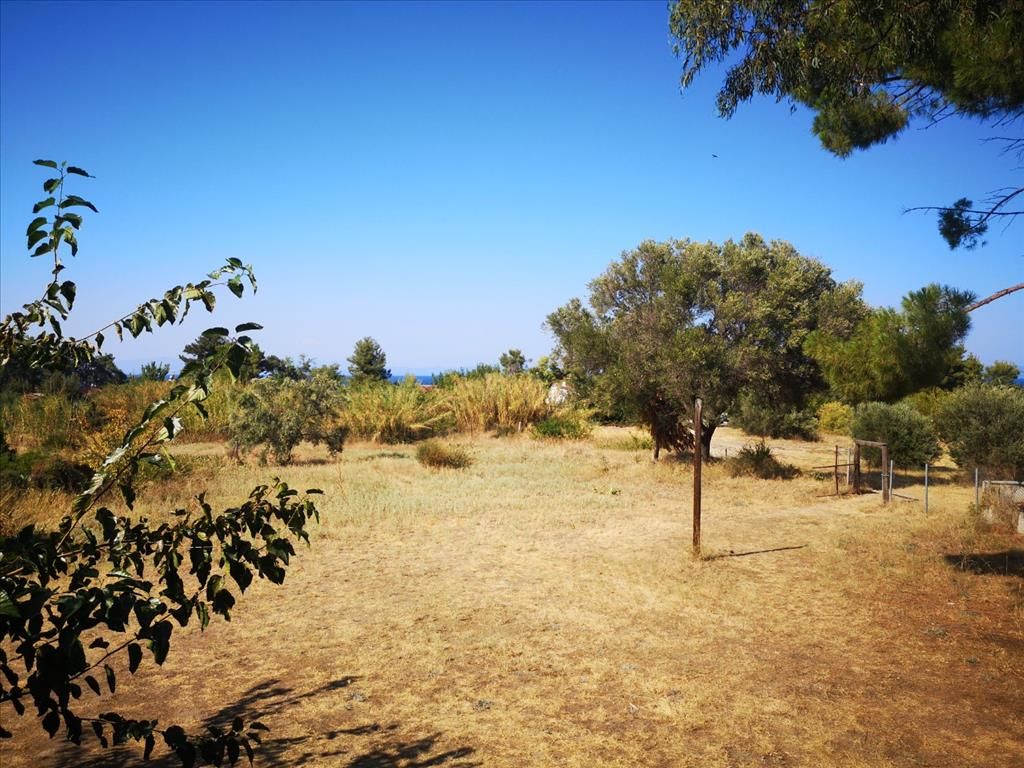 Terreno a Kassandra, Grecia, 3 650 m2 - foto 2