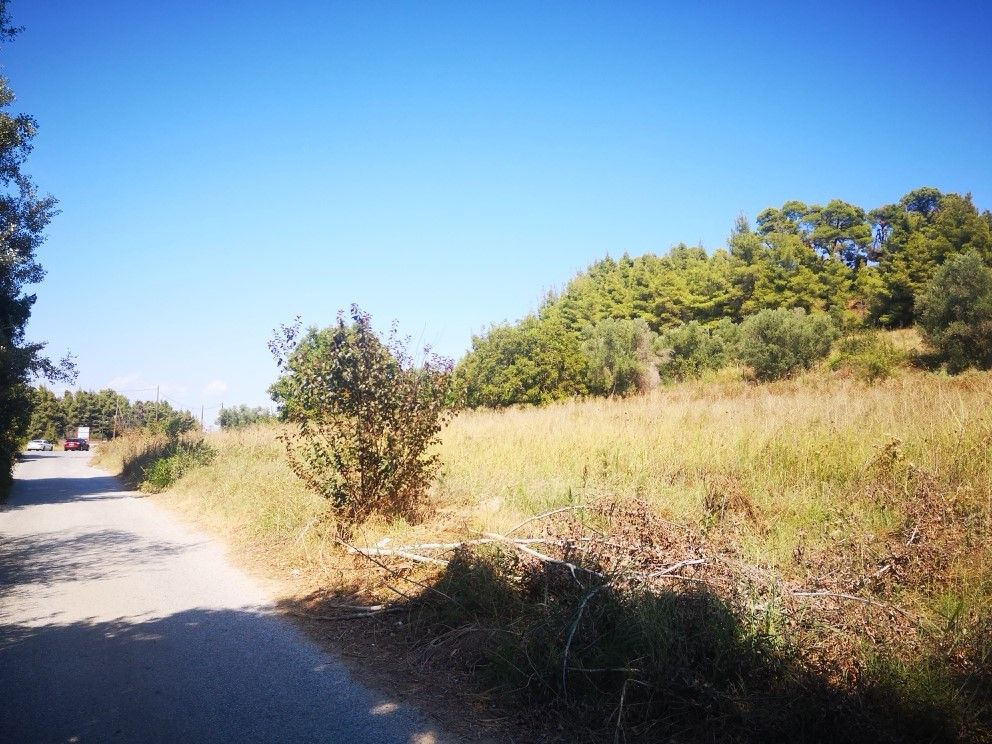 Terreno en Kassandra, Grecia, 3 700 m² - imagen 2