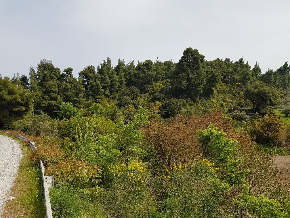 Terreno en Kassandra, Grecia, 2 468 m² - imagen 2