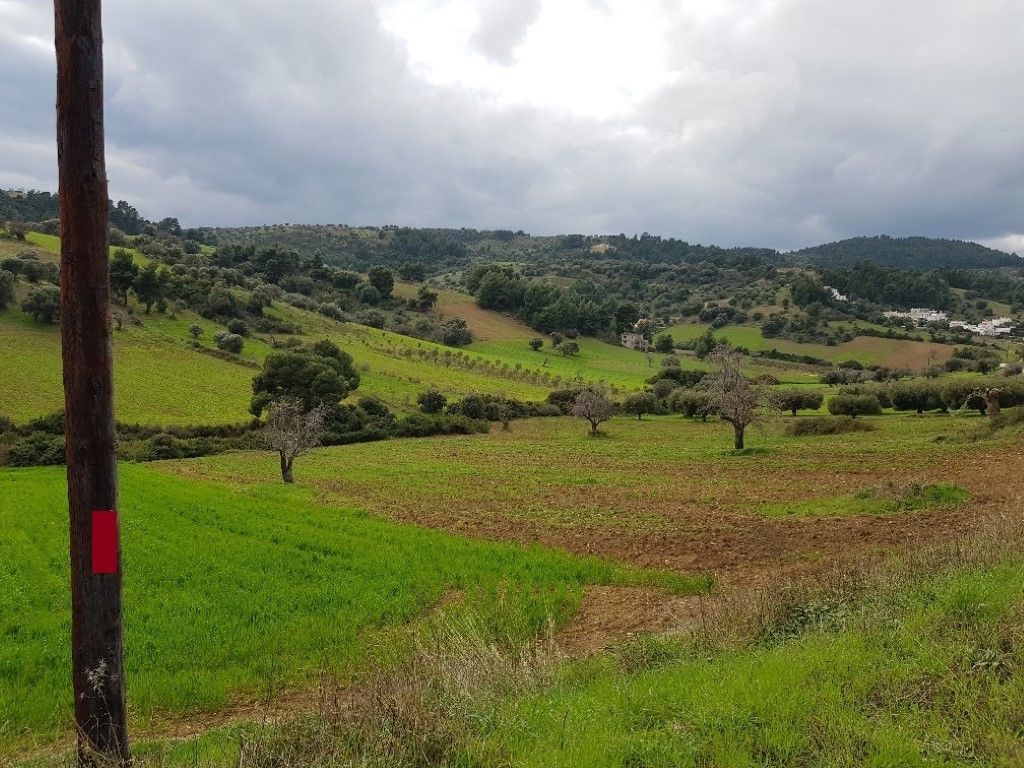 Terreno a Kassandra, Grecia, 6 000 m2 - foto 2