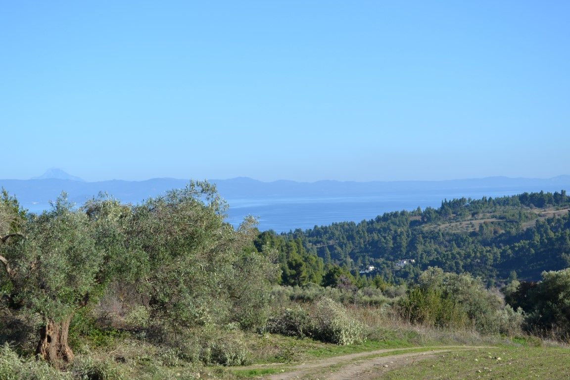 Land in Kassandra, Greece, 11 738 m² - picture 2