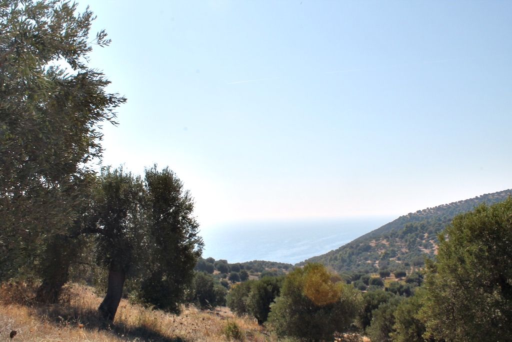 Terreno en Kassandra, Grecia, 20 000 m² - imagen 2