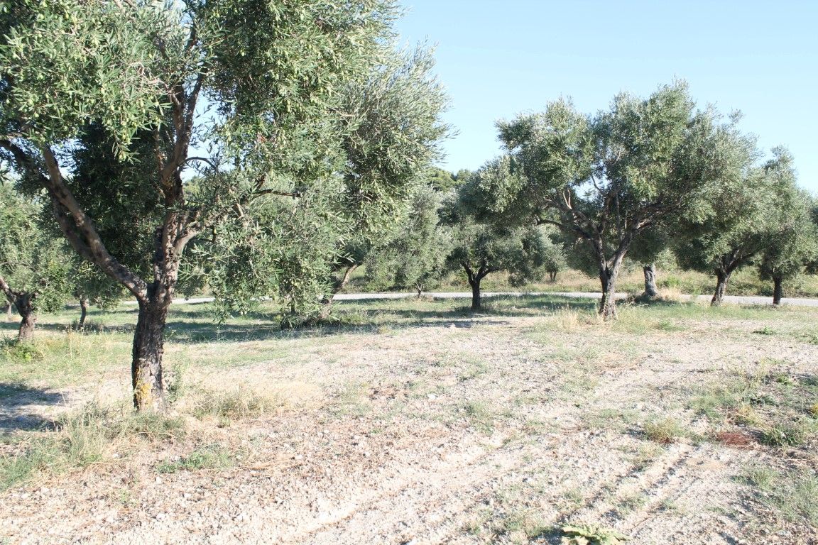 Terrain à Kassandra, Grèce, 5 058 m² - image 2