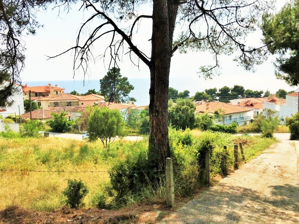 Terrain à Kassandra, Grèce, 1 330 m² - image 2