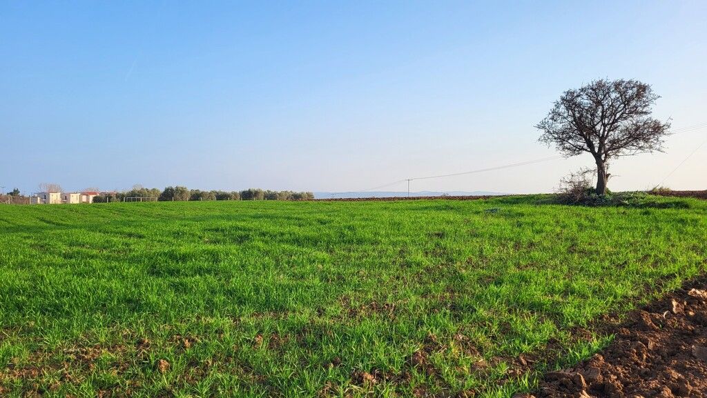 Land in Kassandra, Greece, 4 344 m² - picture 3