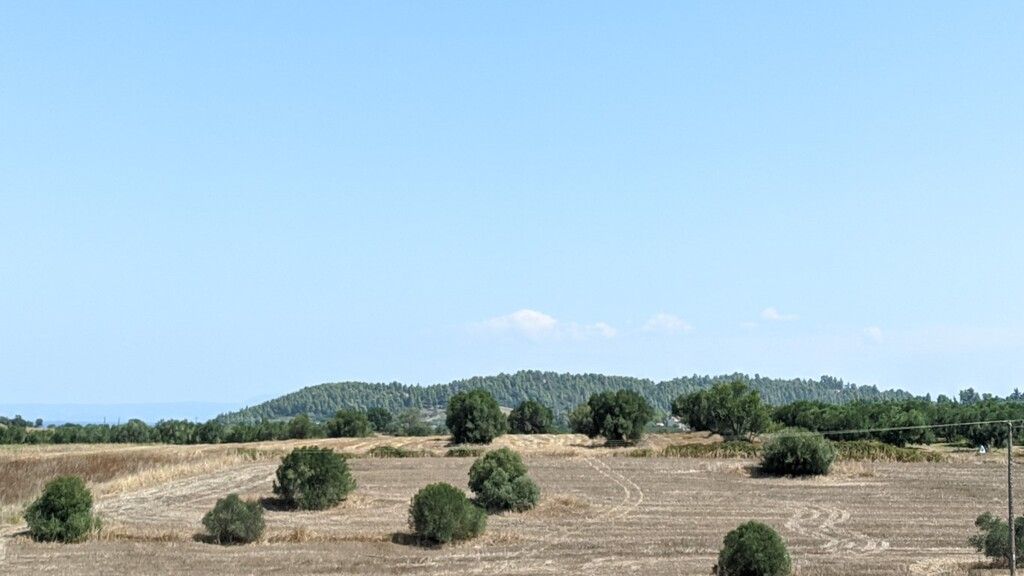 Grundstück in Kassandra, Griechenland, 12 000 m² - Foto 3