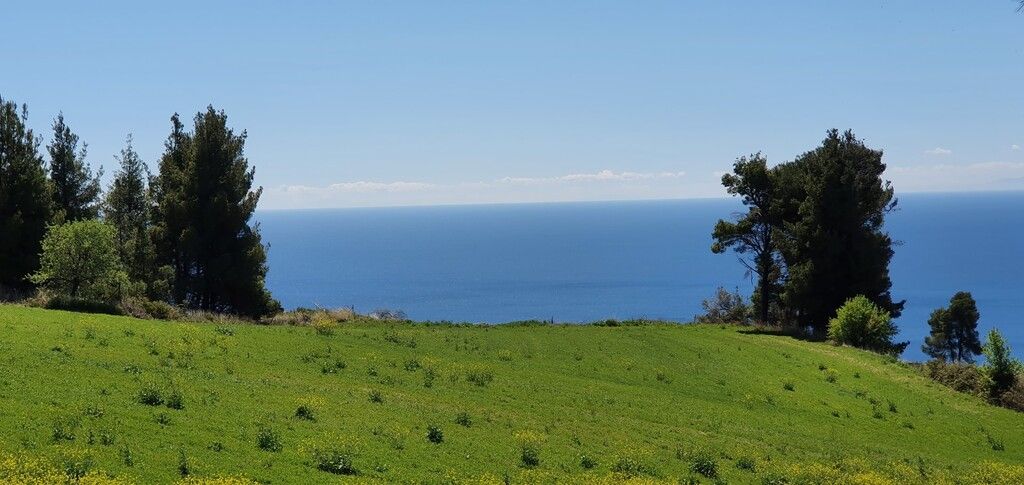 Land in Kassandra, Greece, 11 000 m² - picture 3