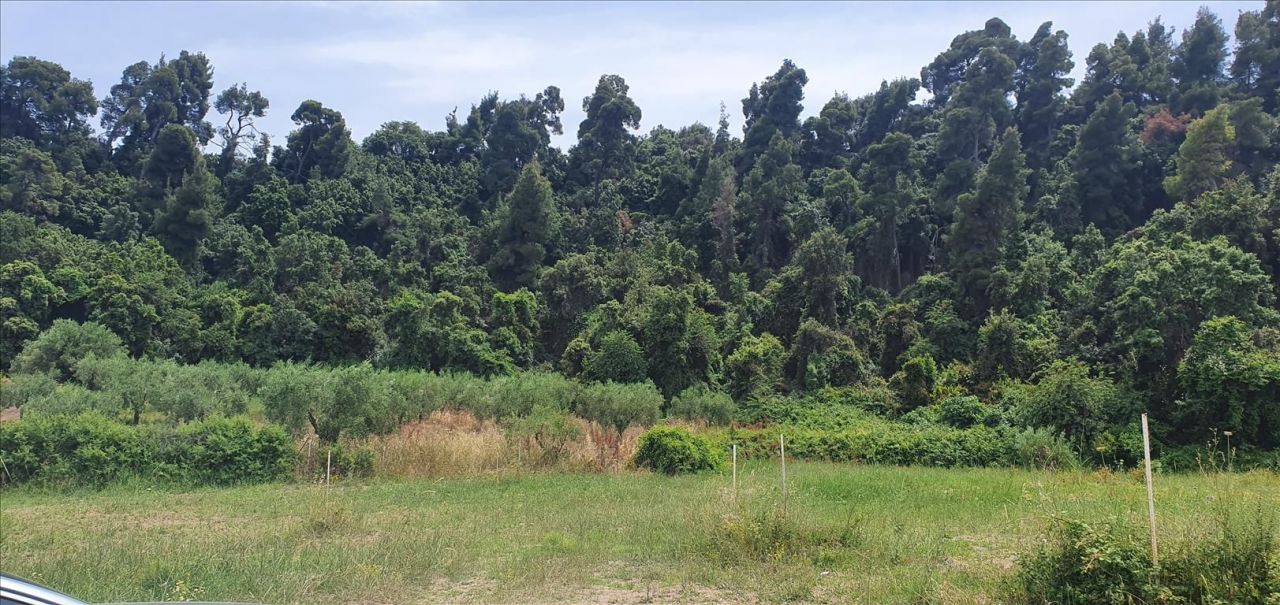 Terreno en Kassandra, Grecia, 2 000 m² - imagen 3