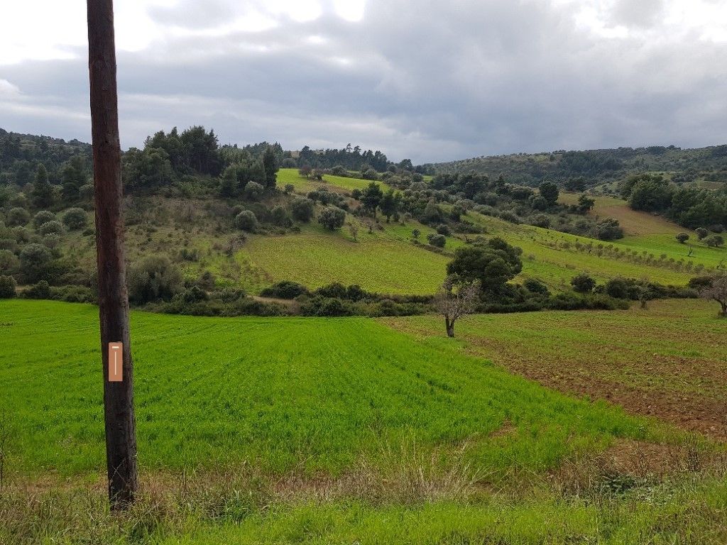 Terreno a Kassandra, Grecia, 6 000 m2 - foto 3