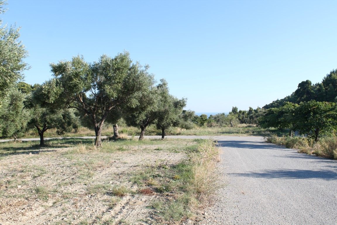 Terrain à Kassandra, Grèce, 5 058 m² - image 3