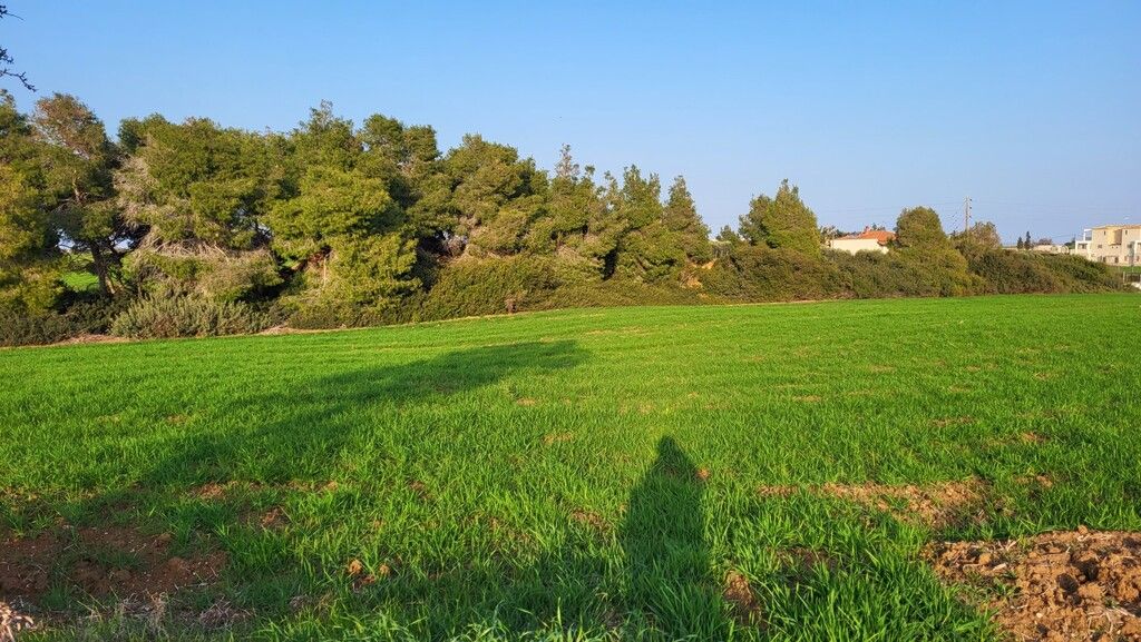 Land in Kassandra, Greece, 4 344 m² - picture 4