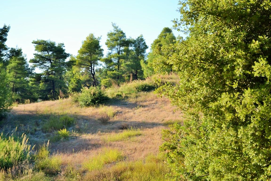 Terreno en Kassandra, Grecia, 5 230 m² - imagen 4