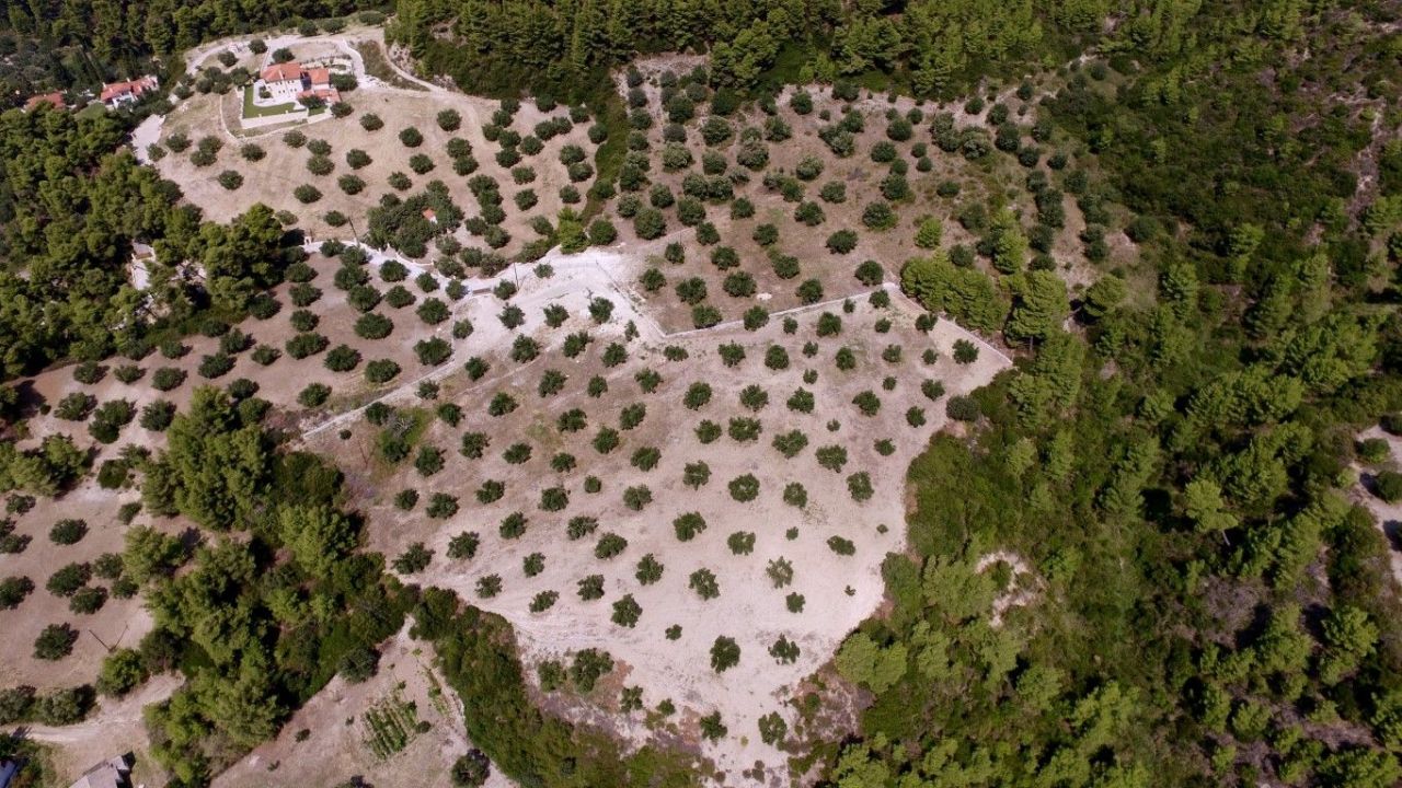 Terreno a Kassandra, Grecia, 31 000 m2 - foto 4